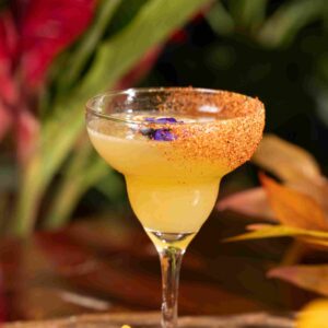Panal de Agave
